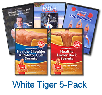 Wellness Videos 5 Pack