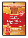 Healthy Lower Back Secrets DVD or Download